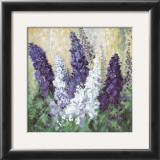 Larkspur in Blues Prints by Katharina Schottler