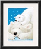 Fluffy Bears II Poster by Alison Edgson