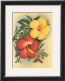 Hawaiian Hibiscus Prints by Eve Hawaii