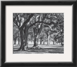 Oak Grove II Prints by Boyce Watt