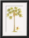 Papaya Tree Prints by Georg Dionysius Ehret