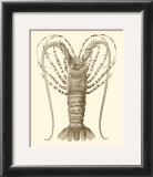 Sepia Lobster I Prints by Vision Studio 
