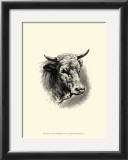 Antique Cattle II Posters by F. Lehnert