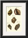 Neptune's Treasure IV Prints by Kruger 