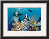 Coral Garden and Dolphin Print by Mark Mackay