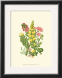 Summer Garden X Print by Anne Pratt