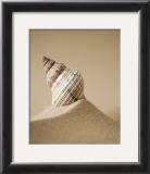 Mythic Beach IV Poster by Jeff Friesen