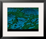 Grande Barriere de Corail Poster by Yann Arthus-Bertrand