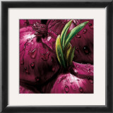 Onions Posters by Alma'ch 