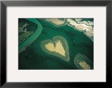 Coeur de Voh Posters by Yann Arthus-Bertrand