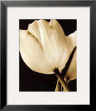 Radiance I Prints by Cinzia Ryan