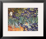 Irises, Saint-Remy, c.1889 Posters by Vincent van Gogh