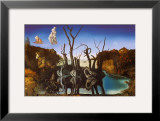 Swans Reflecting Elephants, c.1937 Prints by Salvador Dalí