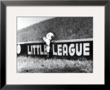 Home Run Art