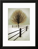 Solitude Posters by David Winston