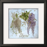 Glycine Posters by Vincent Jeannerot
