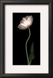 Grace I Prints by S. G. Rose