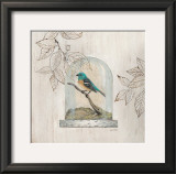 Aviary Display Posters by Arnie Fisk