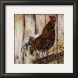Coq et Branche d'Arbre Art by Clauva 