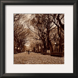 Central Park Posters by Sasha Gleyzer Central Park Posters by Sasha Gleyzer