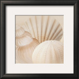 Shells III Print by Jan Lens
