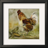 Coq et Mais Prints by Clauva 
