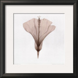Silhouette III Prints by Allen Van