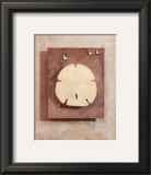 Seashell Study I Posters by Julie Nightingale