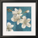 Blossom Branch Poster by Jurgen Gottschlag