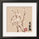 Almendro Oriental I Prints by Paz 