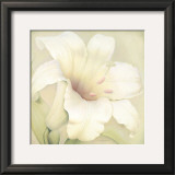 Lilium Famosa Prints by Annemarie Peter-jaumann