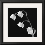 Spring Bells I Prints by Michael Faragher