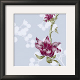 Berry Prints by Adeline Bec