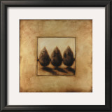 Row of Trees IV Prints by Laura Bowman