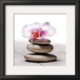Orchidee aux Galets Posters por Stephane De Bourgies Orchidee aux Galets Posters por Stephane De Bourgies