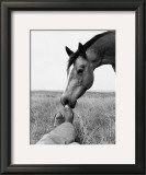 Partners Prints by Gregg Albracht