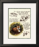 Fox Study Prints by Michelle Mara