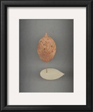 Assemblage No. 78 Art by John Watson