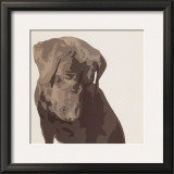 Chocolate Labrador Posters by Emily Burrowes