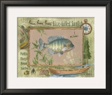 Blue-Gilled Sunfish Posters by Anita Phillips