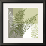 Abstract Fern Posters by Hanna Vedder