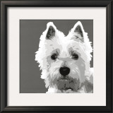 West Highland Terrier Prints by Emily Burrowes