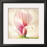 Magnolia Soulangiana Prints by Annemarie Peter-jaumann