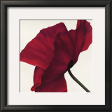 Papaver II Poster by Yvonne Poelstra-Holzhaus
