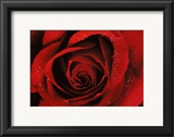 Quality Prints