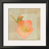 Hellebore II Posters by Philippe Paput