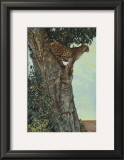 On the Lookout Posters by Kalon Baughan