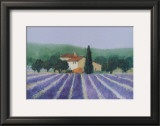 Lavender Field Near St Tropez Posters by Hazel Barker
