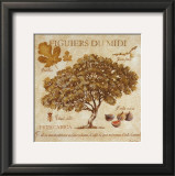 Figuiers du Midi Posters by Pascal Cessou