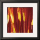 Harvest Prints by Ethan Jantzer